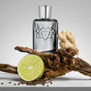 Parfums de Marly Castley Eau de Parfum - Perfume Masculino 125ml